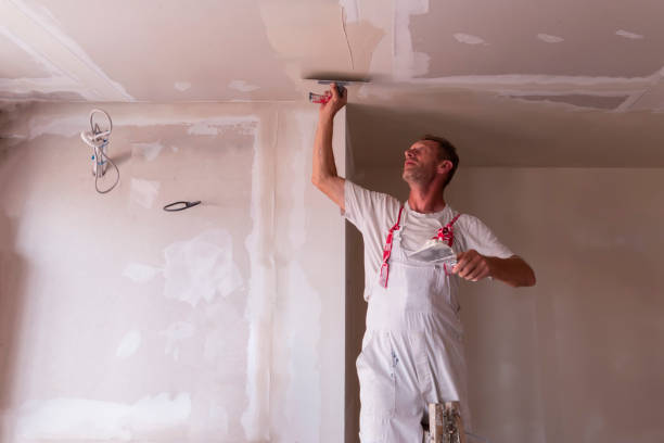  Park Rapids, MN Painting & Drywall Services Pros